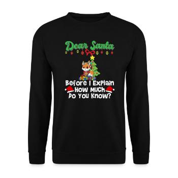 Cher Père Noël avant que j’explique combien savez-vous - Sweat-shirt Unisexe - noir - Devant - Alina (178cm) & Michal (187cm)