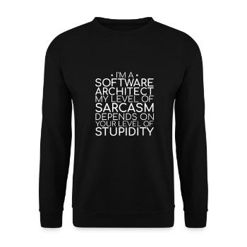 "Software Architect Sarcasm |Software Architektur" - Unisex Pullover - Schwarz - Vorne - Alina (178cm) & Michal (187cm)