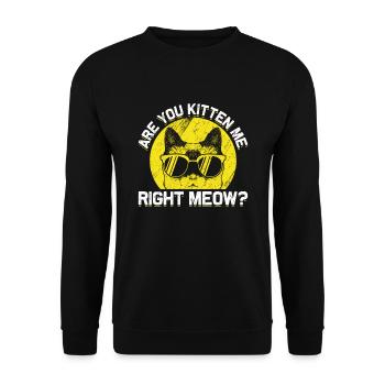Katze Sonnenbrille Humor Scherzkeks Humor - Unisex Pullover - Schwarz - Vorne - Alina (178cm) & Michal (187cm)