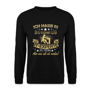 Informatiker Spruch It Experte Computer Nerd - Unisex Pullover - Schwarz - Vorne - Alina (178cm) & Michal (187cm)