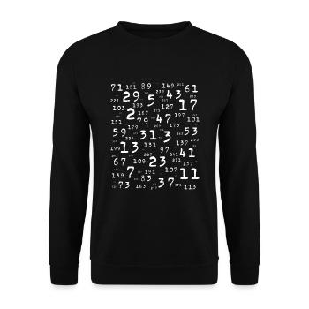 Primzahlen Mathe Lehrer Nerd Student Logik Schule - Unisex Pullover - Schwarz - Vorne - Alina (178cm) & Michal (187cm)