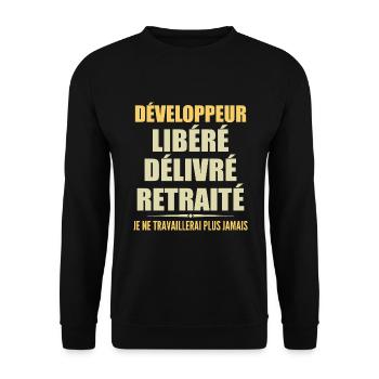 Entwickler feiert Ruhestand mit humorvollem Geschenk - Unisex Pullover - Schwarz - Vorne - Alina (178cm) & Michal (187cm)