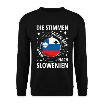 Slowenien Flagge Balkan Slowenische Fahne Spruch - Unisex Pullover - Schwarz - Vorne - Alina (178cm) & Michal (187cm)