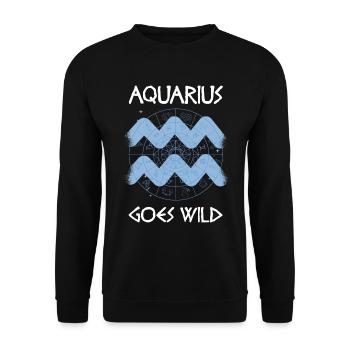 Aquarius Wassermann Astrologie Geschenk - Unisex Pullover - Schwarz - Vorne - Alina (178cm) & Michal (187cm)