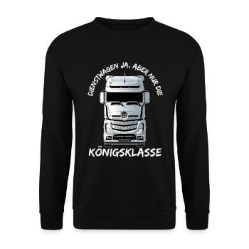 Company cars yes, but only the premier class - Unisex Sweatshirt - black - Front - Alina (178cm) & Michal (187cm)