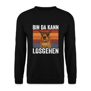 Lustiger Spruch Bin da kann Losgehen Lama Alpaka V - Unisex Pullover - Schwarz - Vorne - Alina (178cm) & Michal (187cm)
