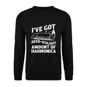 Mundharmonika Instrument und Mundharmonika - Unisex Pullover - Schwarz - Vorne - Alina (178cm) & Michal (187cm)
