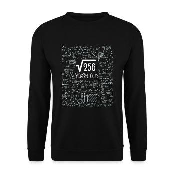 Square Root of 256 - 16th Birthday Geek Design - Unisex Pullover - Schwarz - Vorne - Alina (178cm) & Michal (187cm)
