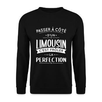 Limousin - Frôler la perfection - Sweat-shirt Unisexe - noir - Devant - Alina (178cm) & Michal (187cm)