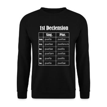 Latein Deklination Tabelle Student Lateintabelle - Unisex Pullover - Schwarz - Vorne - Alina (178cm) & Michal (187cm)