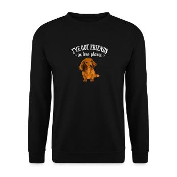 Langhaardackel - Unisex Pullover - Schwarz - Vorne - Alina (178cm) & Michal (187cm)