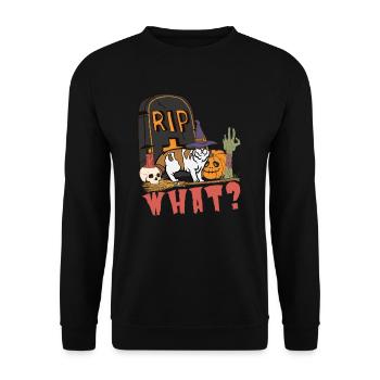 Mignon et effrayant American Curl chat d’Halloween - Sweat-shirt Unisexe - noir - Devant - Alina (178cm) & Michal (187cm)