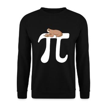 Math Sloth Pi - Unisex Sweatshirt - black - Front - Alina (178cm) & Michal (187cm)