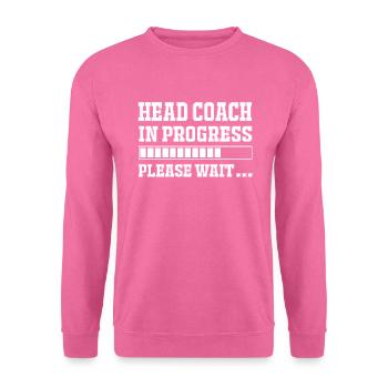 Assistant coach - Unisex Pullover - Pink - Vorne