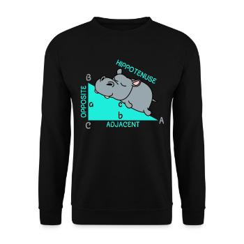 Hippoténuse math maths professeur de mathématiques blague - Sweat-shirt Unisexe - noir - Devant - Alina (178cm) & Michal (187cm)