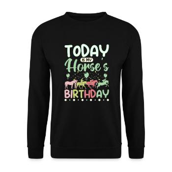 Today is my horse's birthday - Unisex Pullover - Schwarz - Vorne - Alina (178cm) & Michal (187cm)