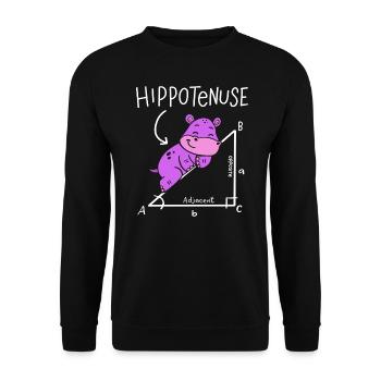 Hippotenuse Hypotenuse Triangle Geometry Math - Unisex Pullover - Schwarz - Vorne - Alina (178cm) & Michal (187cm)