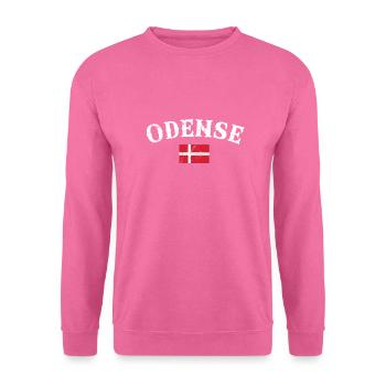 Odense Danemark Vintage Danish Flag Dane - Sweat-shirt Unisexe - rose - Devant