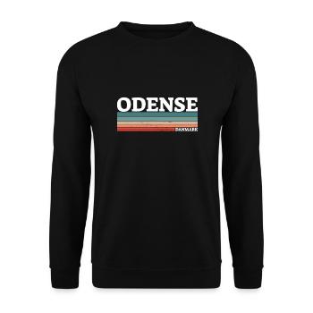 Odense Denmark Denmark Danish Proud Dane - Unisex Sweatshirt - black - Front - Alina (178cm) & Michal (187cm)