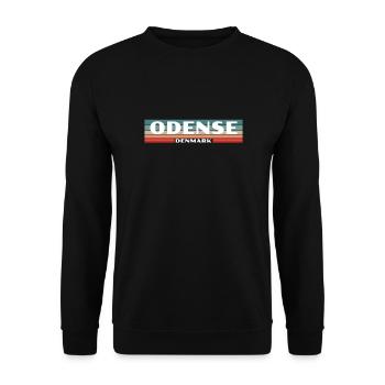 Odense Denmark Denmark Danish Proud Dane - Unisex Sweatshirt - black - Front - Alina (178cm) & Michal (187cm)