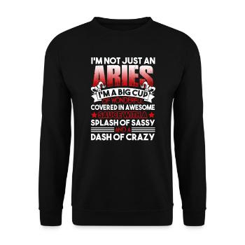 Aries I'm Not Just An Aries - Unisex Sweatshirt - black - Front - Alina (178cm) & Michal (187cm)
