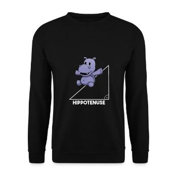 Hippotenuse Mathematik Lehrer Pythagoras Nilpferd - Unisex Pullover - Schwarz - Vorne - Alina (178cm) & Michal (187cm)