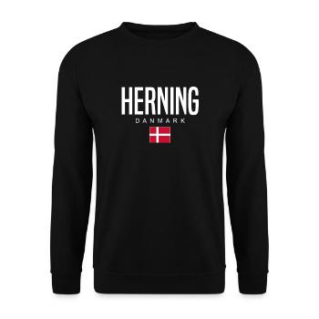 Herning, Denmark - Unisex Sweatshirt - black - Front - Alina (178cm) & Michal (187cm)