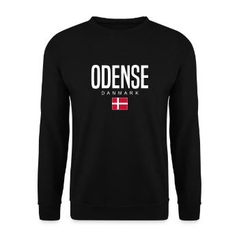 Odense, Denmark - Unisex Sweatshirt - black - Front - Alina (178cm) & Michal (187cm)