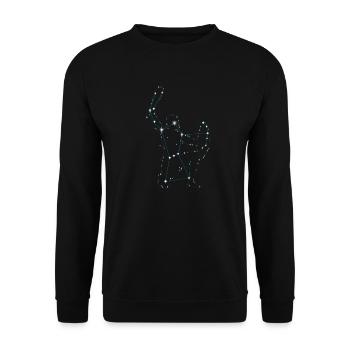 Orion Sternbild Sterne - Unisex Pullover - Schwarz - Vorne - Alina (178cm) & Michal (187cm)