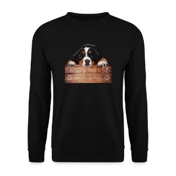 Berner Sennenhund - Unisex Pullover - Schwarz - Vorne - Alina (178cm) & Michal (187cm)