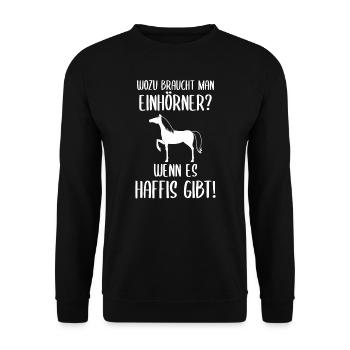 Haflinger Pferd Pferdesprüche Reiterhof Geschenk - Unisex Pullover - Schwarz - Vorne - Alina (178cm) & Michal (187cm)