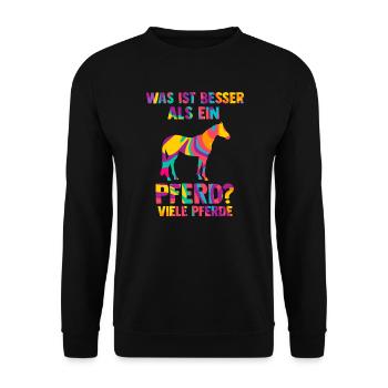 Reiten Pferd Pferdeliebhaber Geschenk - Unisex Pullover - Schwarz - Vorne - Alina (178cm) & Michal (187cm)