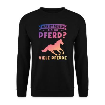 Reiten Pferd Pferdeliebhaber Geschenk - Unisex Pullover - Schwarz - Vorne - Alina (178cm) & Michal (187cm)