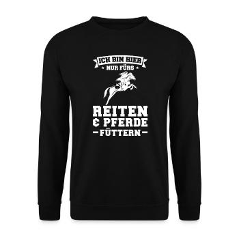 Reiten Pferd Pferde Geschenk - Unisex Pullover - Schwarz - Vorne - Alina (178cm) & Michal (187cm)
