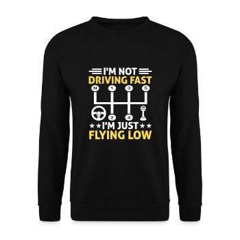 Führerschein bestanden Neuer Führerschein Fahren S - Unisex Pullover - Schwarz - Vorne - Alina (178cm) & Michal (187cm)