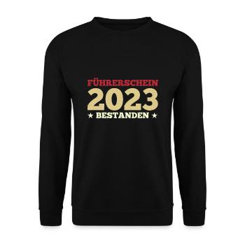 Führerschein 2023 Prüfung Führerscheinprüfung Gesc - Unisex Pullover - Schwarz - Vorne - Alina (178cm) & Michal (187cm)