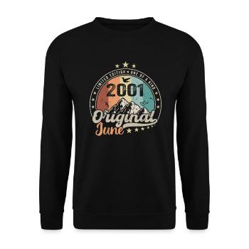 Juni 2001 Retro Vintage Geburtstagsgeschenk 2001 - Unisex Pullover - Schwarz - Vorne - Alina (178cm) & Michal (187cm)