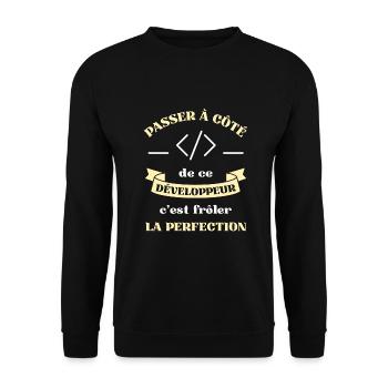 perfection développeur homme humour informatique - Sweat-shirt Unisexe - noir - Devant - Alina (178cm) & Michal (187cm)