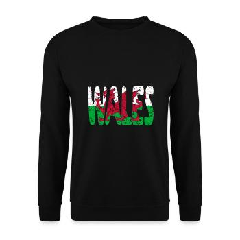 Wales Welsh Flag United Kingdom UK Dragon - Unisex Sweatshirt - black - Front - Alina (178cm) & Michal (187cm)