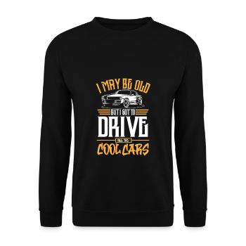 Drive Cool Cars - Unisex Sweatshirt - black - Front - Alina (178cm) & Michal (187cm)