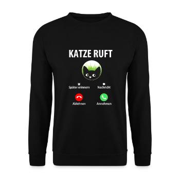Katze ruft an Annehmen Ablehnen Smartphone Handy - Unisex Pullover - Schwarz - Vorne - Alina (178cm) & Michal (187cm)