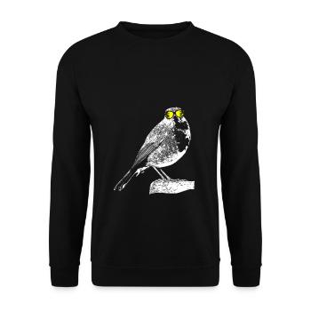 Rotkehlchen Tierliebhaber Naturfans Sonnenbrille R - Unisex Pullover - Schwarz - Vorne - Alina (178cm) & Michal (187cm)