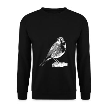 Rotkehlchen Vogel Naturfans Sonnenbrille Tierliebh - Unisex Pullover - Schwarz - Vorne - Alina (178cm) & Michal (187cm)