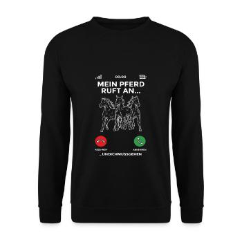 Pferd Reiterin Reiter Pferdefan Pony Voltigieren P - Unisex Pullover - Schwarz - Vorne - Alina (178cm) & Michal (187cm)