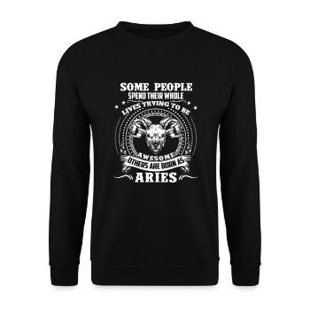 Widder als Widder geboren - Unisex Pullover - Schwarz - Vorne - Alina (178cm) & Michal (187cm)