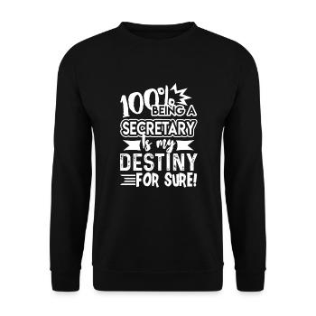 Secretary Secretary Is My Destiny - Unisex Sweatshirt - black - Front - Alina (178cm) & Michal (187cm)
