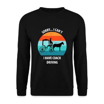 Calèche de cocher Calèche tirée par des chevaux Calèche - Sweat-shirt Unisexe - noir - Devant - Alina (178cm) & Michal (187cm)