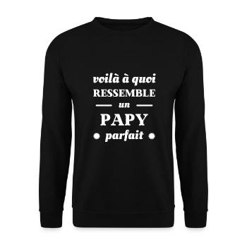 t shirt papy parfait humour papy grand pere drole - Sweat-shirt Unisexe - noir - Devant - Alina (178cm) & Michal (187cm)