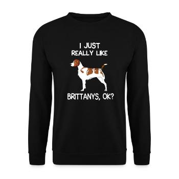 I Just Really Like Brittanys - Unisex Sweatshirt - black - Front - Alina (178cm) & Michal (187cm)