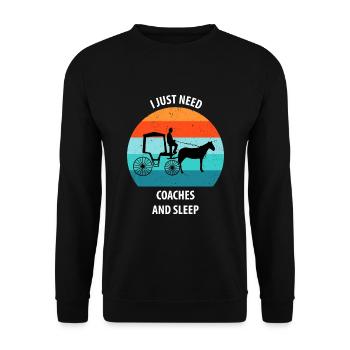 Calèche de cocher Calèche tirée par des chevaux Calèche - Sweat-shirt Unisexe - noir - Devant - Alina (178cm) & Michal (187cm)